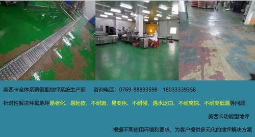 食品厂地坪工程与网页网站设计的协同规划与实施